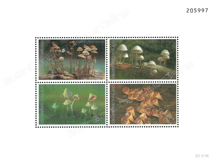 Environment Conservation Issue (Mushroom 2nd Series) Souvenir Sheet.