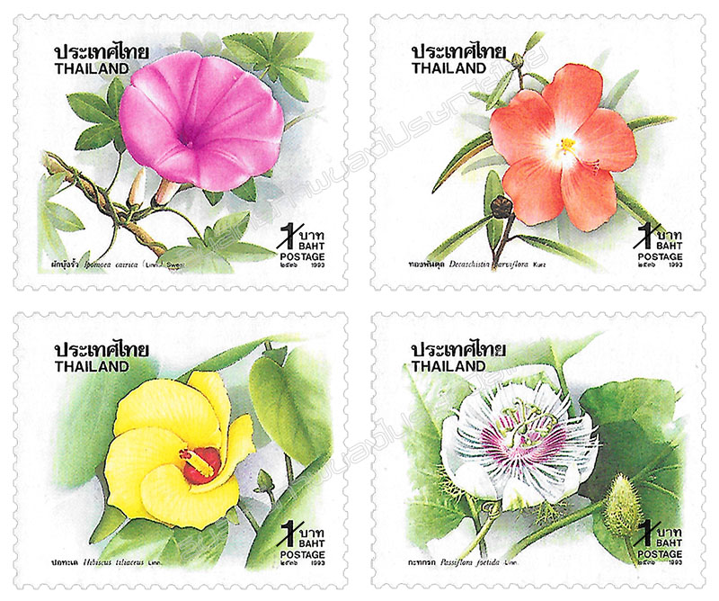 New Year 1994 Postage Stamps