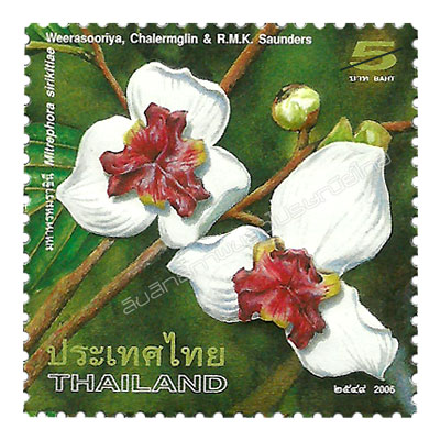 Mahaphrom Rachini (Mitrephora Sirikitiae Weerasooriya, Chalermglin & R.M.K. Saunders) Postage Stamp