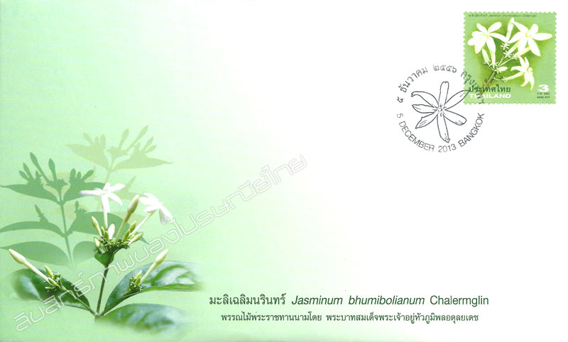 Mali Chalermnarin Postage Stamp - Jasminum bhumibolianum Chalermglin  First Day Cover.